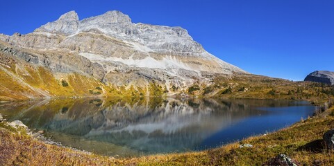 High Resolution Panoramic Landscape Image of Beautiful Hidden Lake and Golden Autumn Colors in Skoki Region of Banff National Park, Canadian Rocky Mountains