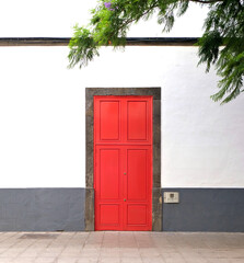 Simple red door in a white wall under a green branch.