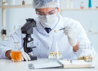 Fototapeta premium Chemist mixing perfumes in the lab