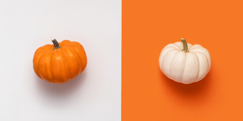 Creative halloween flat lay two pumpkin, white and orange on colored background with copy space.