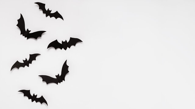 Black bats on white background flat lay, halloween concept with copy space.