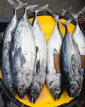 Frigate Tuna of locally known as Tulingan for sale at a sidewalk stall near a market in the Philippines.