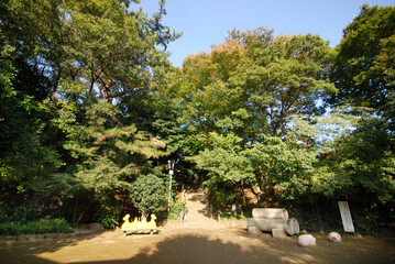 Obraz premium 千鳥いこい公園（東京都大田区久ヶ原）