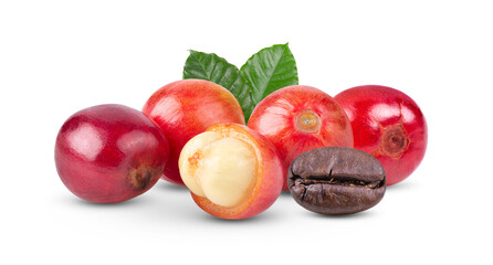 coffee beans  ripe and unripe berries on white background