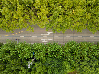 Drone aerial view of road with forest and trees along the road with few cars and passengers. The city street with road marks surround by green plants. Calm chill cozy B roll footage Shanghai China
