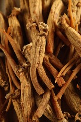 dry Ginseng Roots