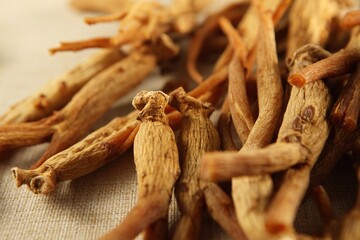 dry Ginseng Roots