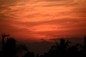 Naklejka na ściany i meble Beautiful sunset with the silhouette of coconut trees