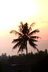 Beautiful sunset with the silhouette of coconut trees