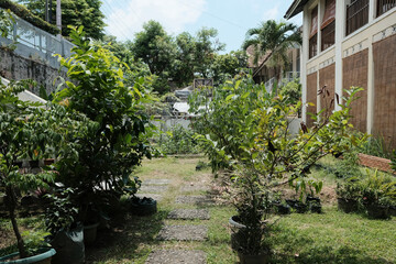Fototapeta na wymiar garden with trees