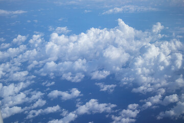 Landscape from the window of the porthole. Cuba