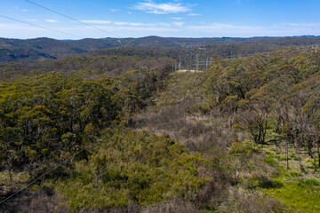 Aerial view of power lines running through a forest in regional Australia