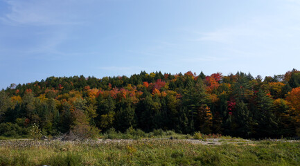 Fototapeta premium Fall in Vermont