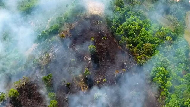 Aerial view of Jungle Deforestation, wildfire burning and smoking, in the rainforest of Sumatra, sunny day, in Indonesia, Asia - drone shot