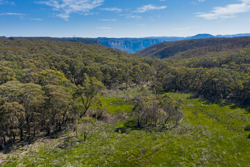 Naklejka premium Aerial view of forest regeneration after bushfires in regional New South Wales in Australia