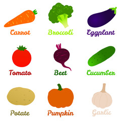 Vegetables icons set, carrot, broccoli, tomato, cucumber, garlic, beet, potato and pumpkin. Isolated vector illustration.