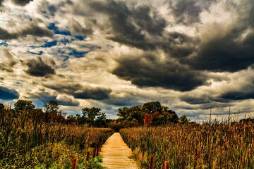 Autumn at the park