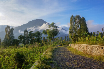 footpath in the mountains