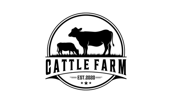 Retro Vintage Cattle / Beef Emblem Label logo design