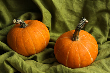 Orange ripe pumpkins on a linen tablecloth in the kitchen of a village house.