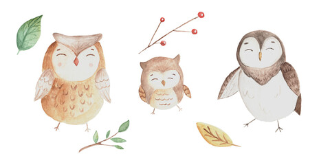 watercolor owl set with leaves