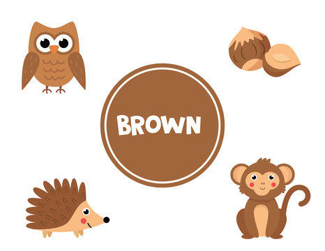 Learning brown color for preschool kids. Educational worksheet.