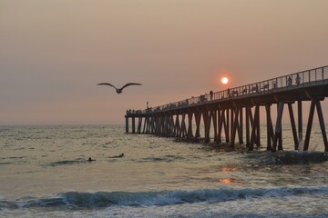 Obraz premium sunset on the beach