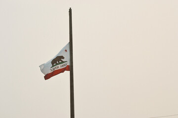 flag on a pole