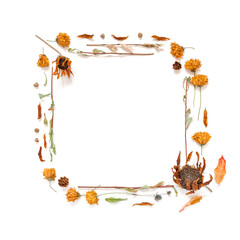 Naklejka na ściany i meble Autumn composition. A frame made of dried flowers, leaves and plants is on a white background. Autumn, fall, thanksgiving day concept. Social media background. Flat lay, top view, copy space.