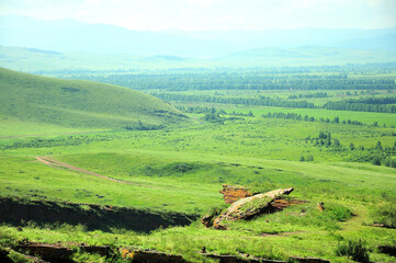 Endless steppes with sparse rows of bushes and green grass.
