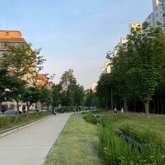 Naklejka premium Gyeongui Line Forest Road 