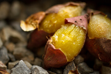 Delicious baked japanese sweet potato put on stone, close up
