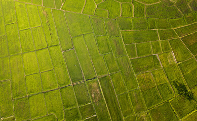 Top view of countryside road passing through the green forrest and mountain