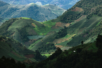 Terraced rice field Northern Thailand.