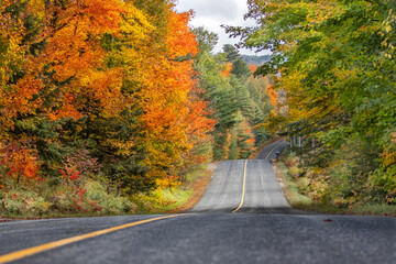 Fototapeta premium Fall Colors
