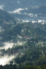 topview of the mountainous area shrouded in fog