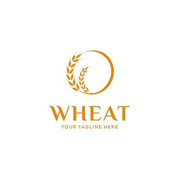 Luxury golden grain weath / rice logo design