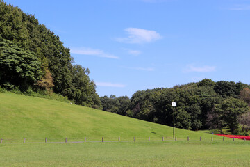 芝生 公園 グリーン