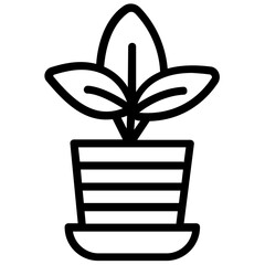 Plant Pot