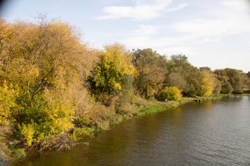 river in the park on an autumn day, the waters look brownish yellow, the reflection of autumn colors in the water