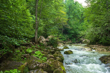 Mountain rivers are the most environmentally friendly waters on the entire continent.