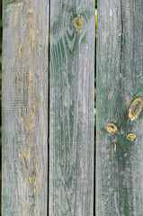 Old wooden planks with peeling green paint.