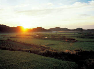 sunset view of grassland