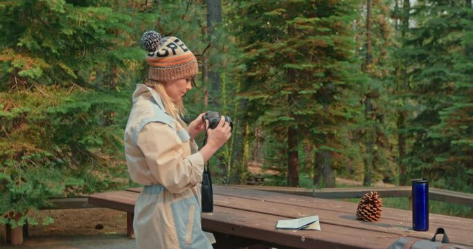 Woman setting up camera and taking picture of fall forest. Slow motion of attractive traveler photographer in picnic area at camp in woods. Female exploring nature with pine trees on background, 4K