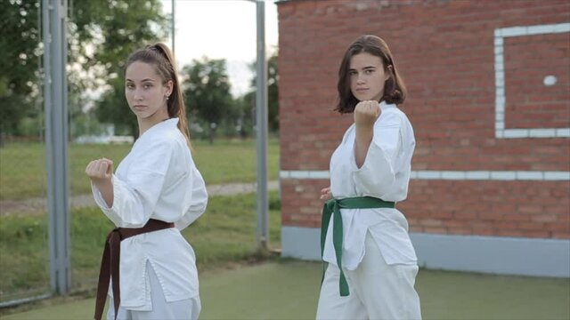 Two young women conduct karate training on a sportsground and demonstrate various poses of technique kyokushinkai. Front view. Close-up