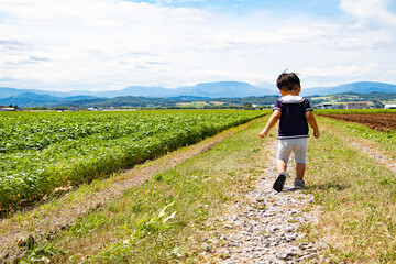 畑で遊ぶ幼児