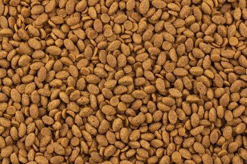 Food for animals background. Dry cat and dog food texture. Pet meal background close up