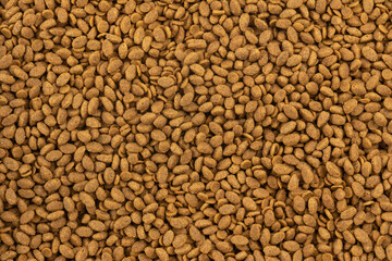 Food for animals background. Dry cat and dog food texture. Pet meal background close up