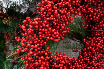 Heart-shaped wreath of oak holly berries close-up. Red matte Christmas symbols holly berries. Festive winter background, christmas decoration design