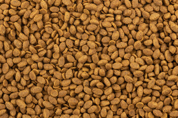 Food for animals background. Dry cat and dog food texture. Pet meal background close up